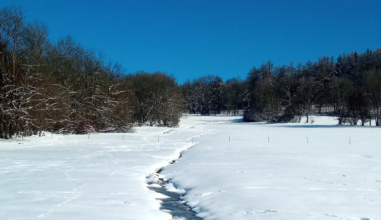 Takový docela normální všední den