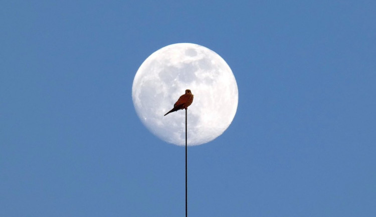 O tom, jak najít fotografické štěstí kolem komína