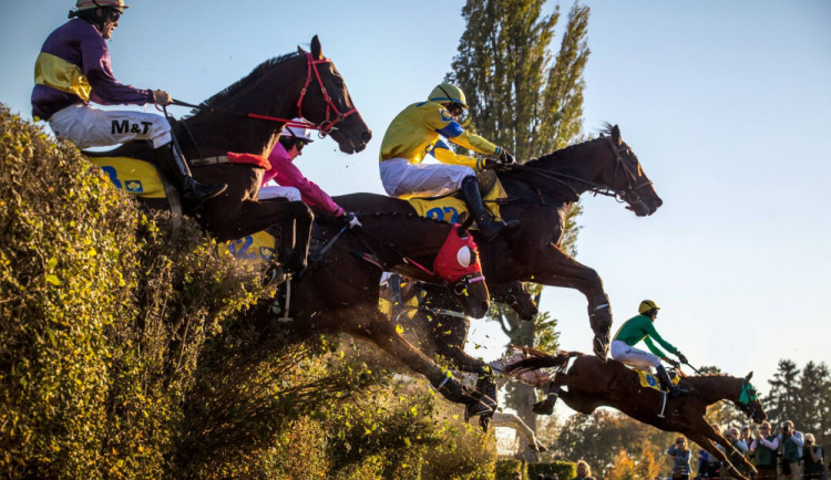 Po zranění na Velké pardubické musel být utracen kůň Vicody ze stáje v Hvozdu na Olomoucku
