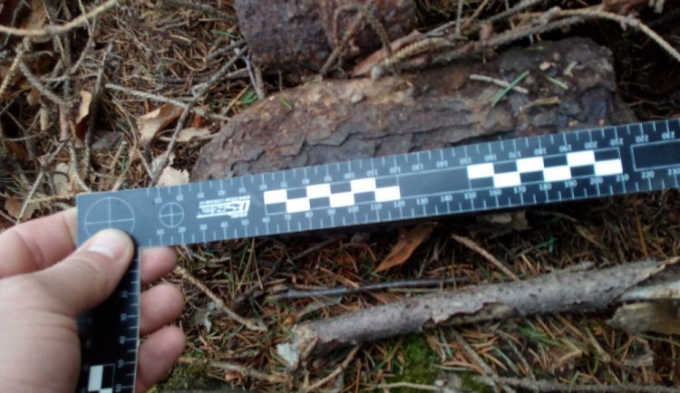 Muž našel v lese granáty. Pyrotechnik je odpálil přímo na místě