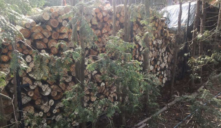 Muž skládal dřevo příliš blízko sousedčina plotu. Ta na něj zavolala policii