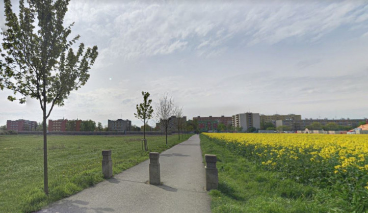 Prostějov zruší alej, kterou vysázeli místní. Stromy ustoupí novým bytům