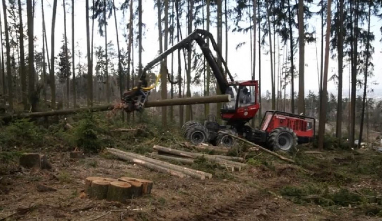 VIDEO: Odstraňování škod v olomoucké zoo bude trvat několik měsíců