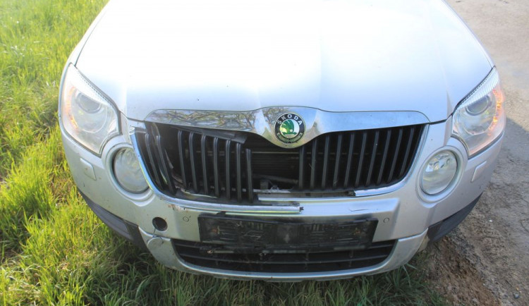 Řidič srazil srnu, ta nehodu nepřežila