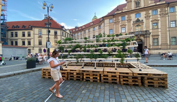 Hydroponie je ideální způsob, jak dostat zeleň do města