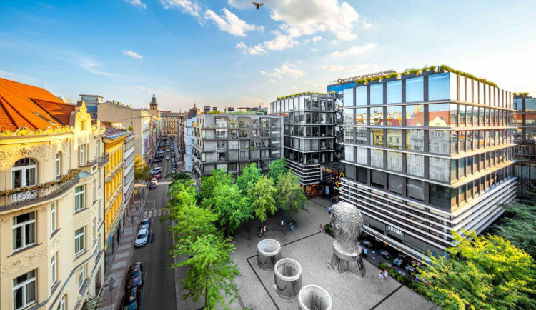 Hlava Franze Kafky projde celkovou rekonstrukcí. Ta bude trvat několik měsíců