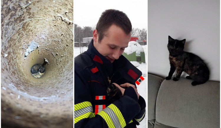 Z trubky se ozývalo zoufalé mňoukání kotěte, zvířete se po vyproštění ujal jeden z hasičů a dal mu jméno Štístko