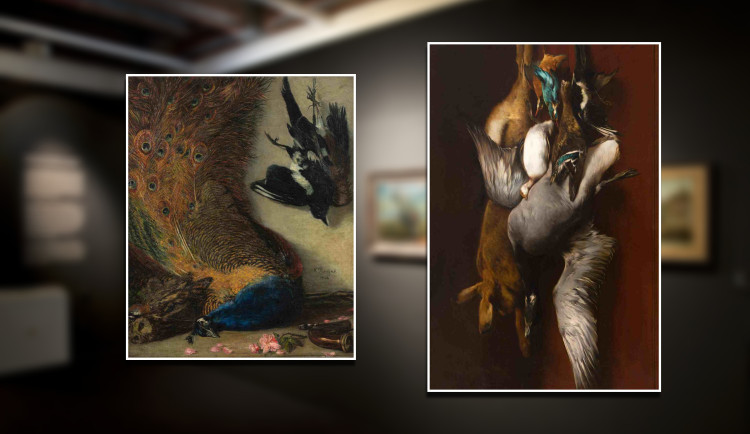 Obrazy za 4,5 milionu korun koupila plzeňská galerie, jsou to výjimečná zátiší z 19. století
