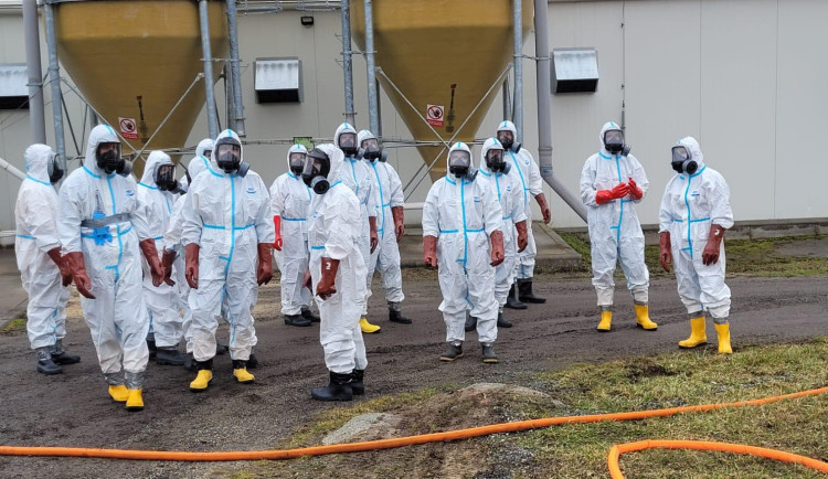 Veterináři začali s utrácením ve Vanči na Třebíčsku. Jde o více než 11 tisíc slepic