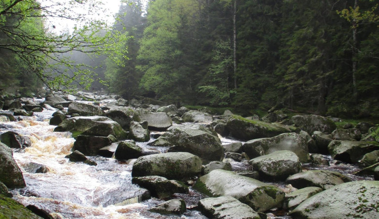 Šumava by se mohla více otevřít turistům, klidová území se zmenší