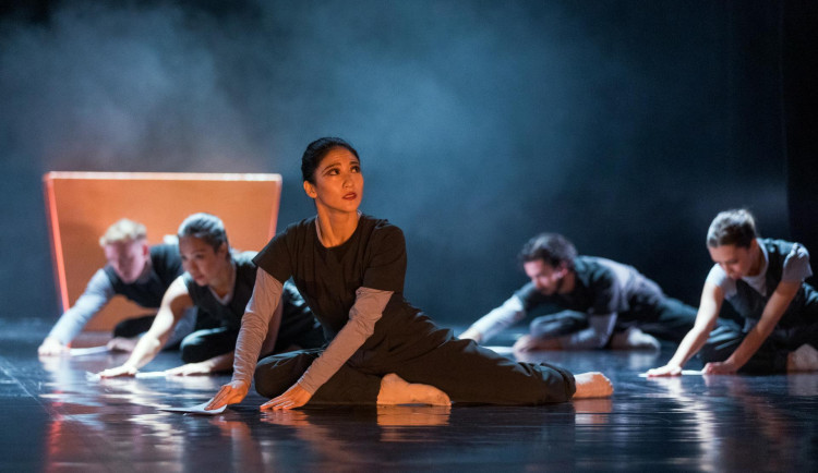 KULTURNÍ TIPY: Zajděte na výstavu orchidejí, balet nebo kurz sebeobrany