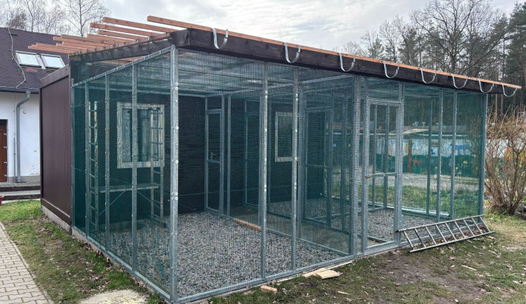 Kromě psů a koček se musí v útulku postarat také o papoušky nebo želvy, vzniká tam proto nový pavilon