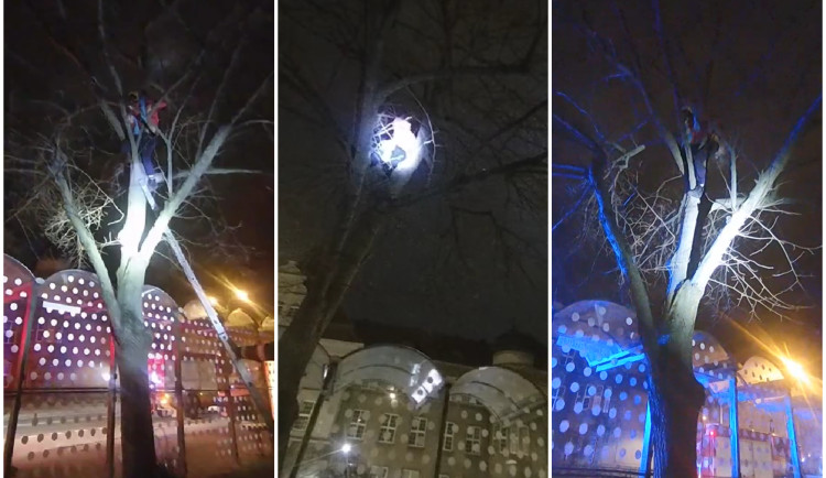 VIDEO: Vyděšený muž se skrýval na stromě, bál se povodní. Dolů mu pomáhali hasiči i policisté
