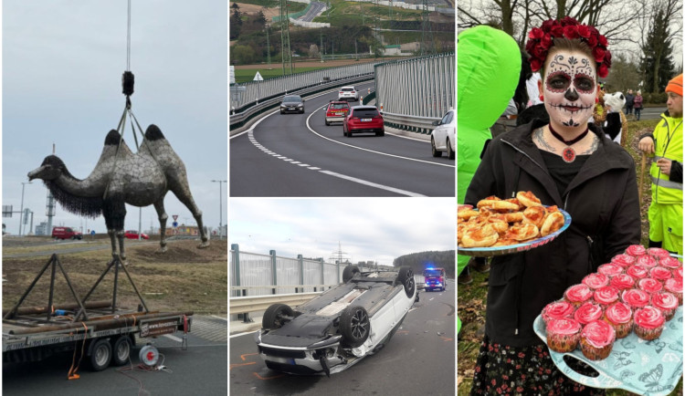 ÚNOR 2024: Socha velbloudice, rok se Západním okruhem i masopustní veselí