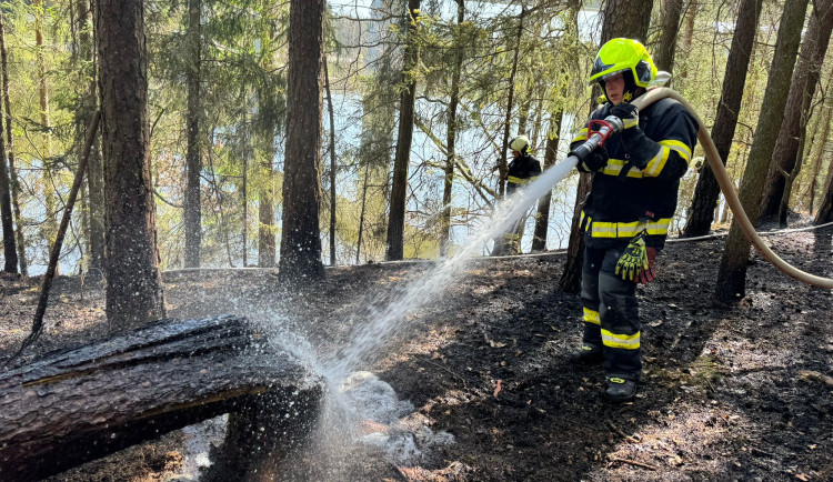 Hasiči řešili o víkendu požáry lesů