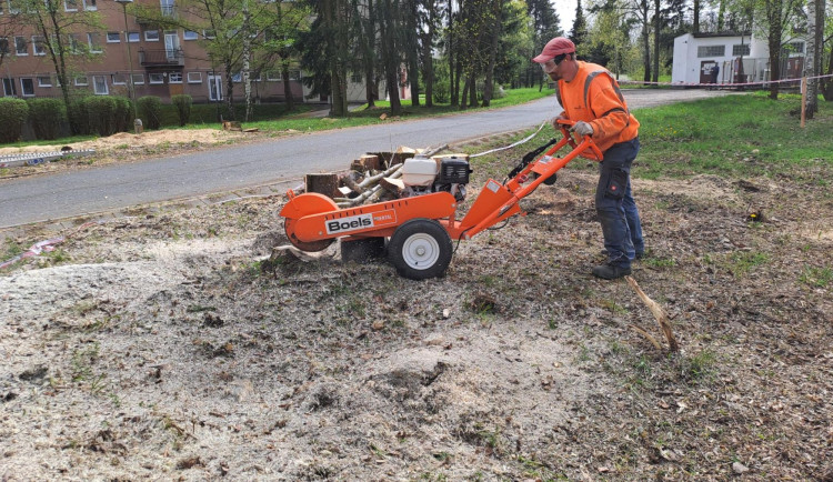 Kácení dřevin a demolice starých garáží. V areálu Rokycanské nemocnice se pohybují dělníci
