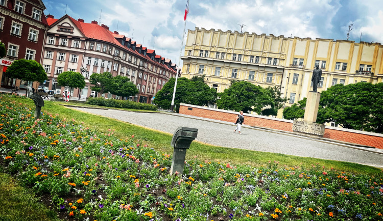 Hradec Králové rozkvetl letničkami, jsou jich tu desítky tisíc