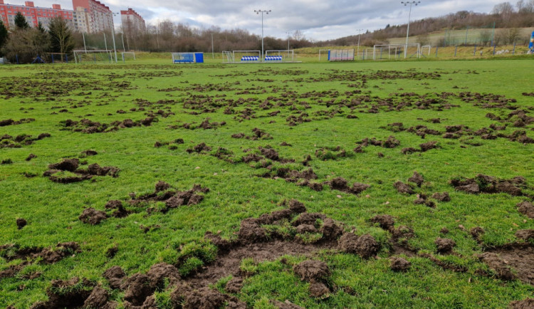 Oprava divočáky zdevastovaného hřiště vyšla na šest milionů korun, teď už by se tam prasata neměla dostat