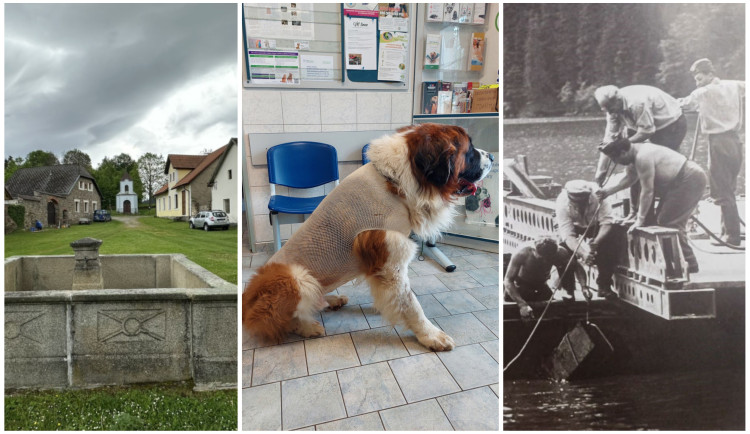 ČERVEN 2024: Tajemný šumavský Humpolec, chybějící veterinární pohotovost i dezinfo kampaň StB