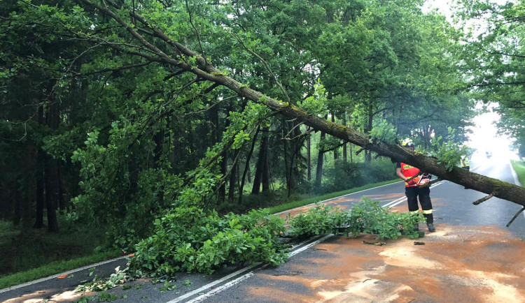 Kvůli bouřce je na jihu Čech 12 tisíc domácností bez elektřiny. Některé vlaky stále nejezdí