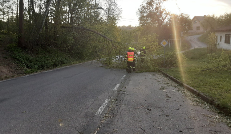 Kvůli bouřce evakuovali hasiči dva dětské tábory. Odklízeli popadané stromy a odčerpávali vodu