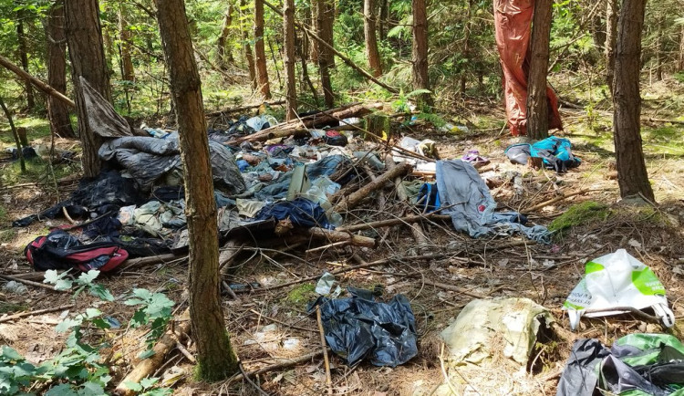 Lidé mění městské lesy v nechutné skládky odpadů, zakládají nelegální ohniště a auta houbařů blokují výjezdy