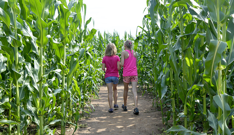 Abyste trefili ven, musíte oprášit znalosti ze školy. Unikátních bludišť z kukuřice najdete v Česku hned několik