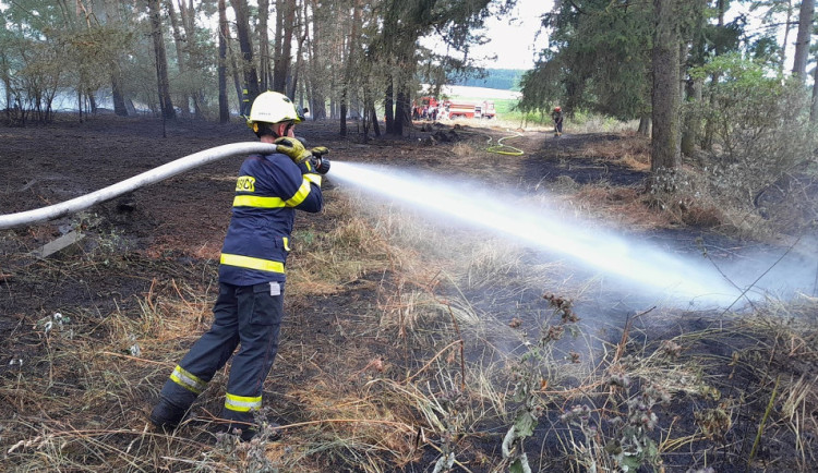 Během krátké doby dvakrát hořelo v lese a pokaždé na totožném místě, lidé i přes zákaz rozdělávají táboráky