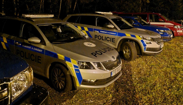 VIDEO: Žena s Alzheimerem zmizela v deštivé noci, úplně promoklou a bez bot ji našel policejní pes Argo