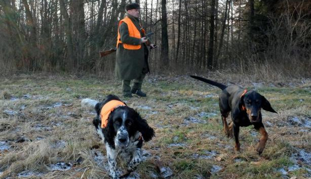 Mimořádné opatření. Veterina na celý srpen zakázala lov zvěře v oblastech zasažených africkým morem prasat