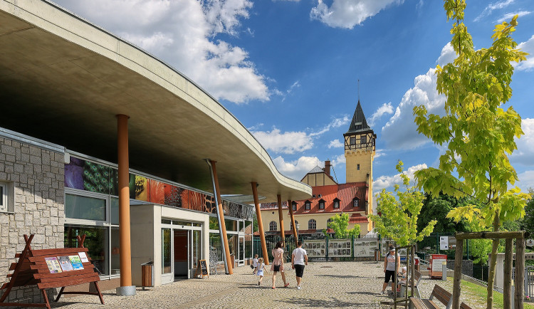 Liberecká zoo slaví 120. narozeniny. Na čtvrtek připravila speciální program a zvýhodněné vstupné