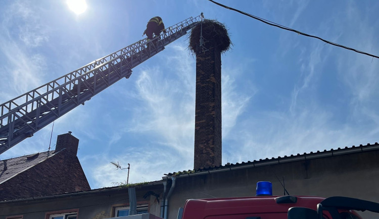 Kamera ve frýdlantském čapím hnízdě je vyčištěná, za rok bude se zoomem a zvukem