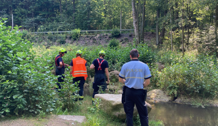 Mrtvé ryby v Harcovském potoce na přehradě. O ekologickou havárii nešlo