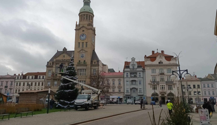 Konec tradice křivého vánočního stromu? Prostějov chce doplnit systém ukotvení