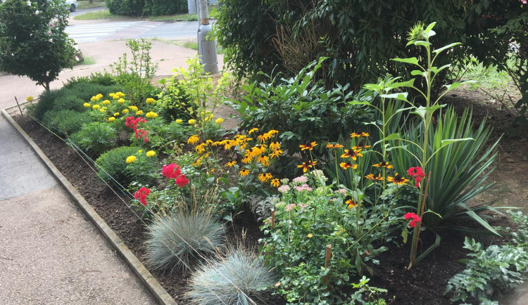 Milují květiny, tak si založili záhon přímo na sídlišti. Podobné zahrádky jsou teď velkým hitem