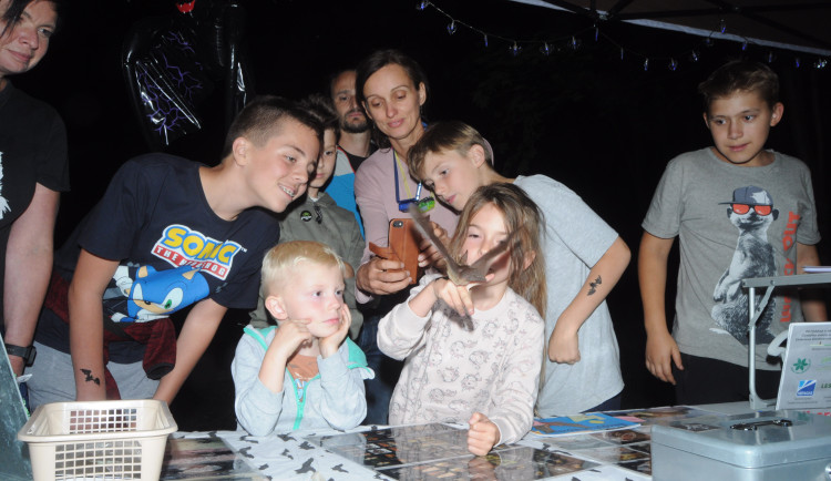 V Panském lomu u Liberce budou večer v hlavní roli netopýři. Netopýří noc tu pro veřejnost mají už po 28.