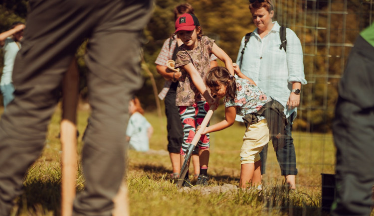 Lesníci lákají na akci do brdských hvozdů, uskuteční se tam už třetí ročník populární akce pro veřejnost