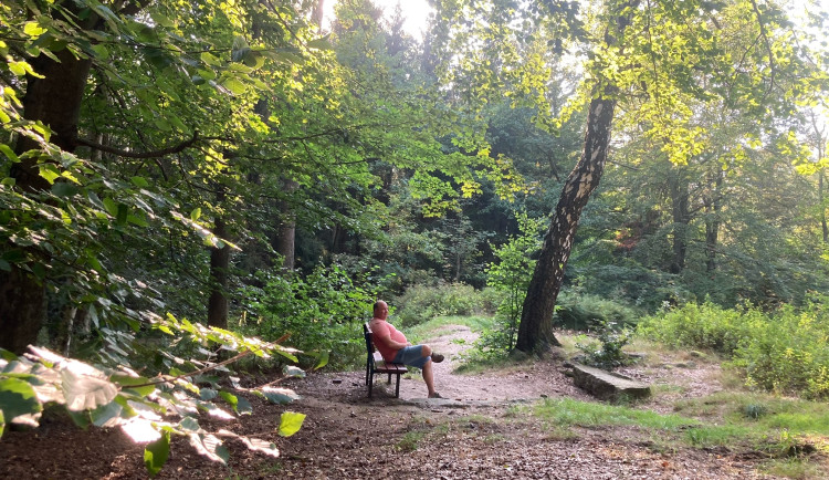 V kokonínském lesoparku se začalo kácet. Jablonec žádá veřejnost, aby do něj do konce října nevstupovala