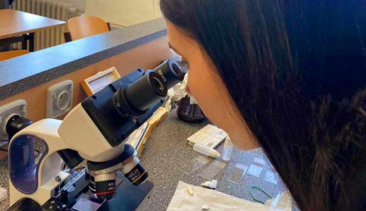 Ve Frýdlantě v příštím roce otevřou pro středoškoláky přírodovědné lyceum, první v kraji