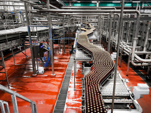 Novou automatizovanou stáčecí linku na skleněné obaly za 700 milionů korun zprovoznil pivovar Plzeňský Prazdroj