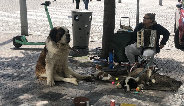 Cizince by za porušení mohli i vyhostit.