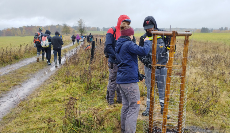 V Geoparku Ralsko bude za pomoci studentů vysázena další část ovocné Aleje vzpomínek