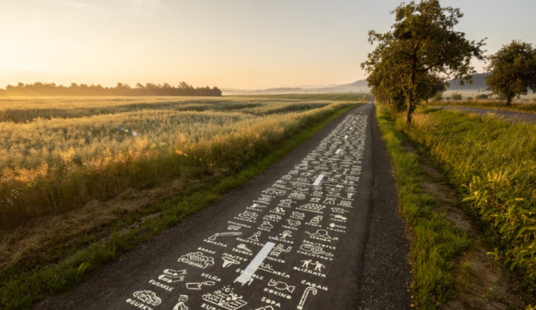 SFDI podpořil 57 projektů na bezpečné cyklostezky a křížení komunikací za více než 760 milionů Kč