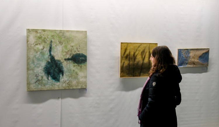 Benefiční aukce umění vynesla pro Hospic sv. Lazara přes půl milionu korun, peníze investuje do projektu nového a důstojného domova