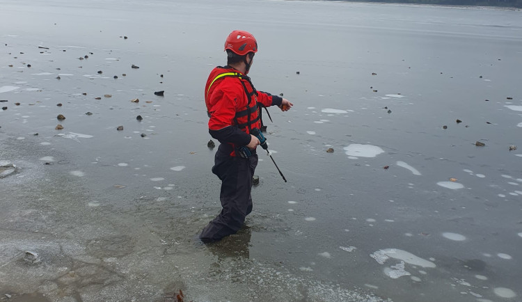 Vstup na zamrzlé vodní plochy v Brně není bezpečný. Led odtává a hladina je rozbředlá