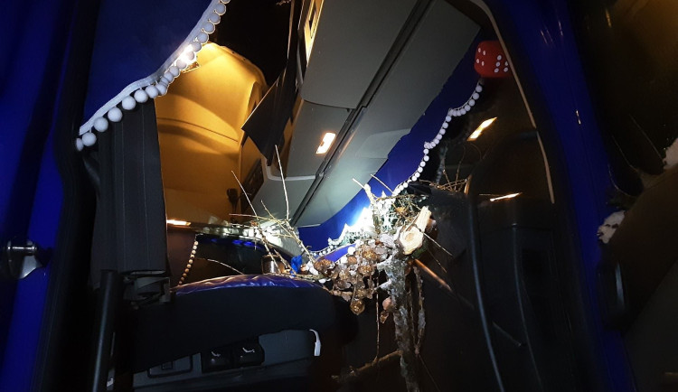 FOTO: Mráz láme větve, hasiči měli přes 30 výjezdů. Na Jihlavsku spadl na projíždějící náklaďák strom