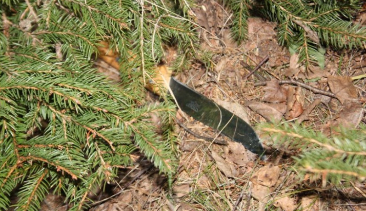 Muž v Havlíčkově Brodě vzal nůž na taxikářku. Peníze, které mu dala, utratil v hospodě a šel se přiznat