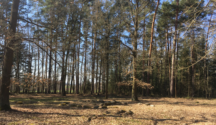 Kraj podpoří úpravy mohylového pohřebiště z doby bronzové, vznikne k němu i interaktivní aplikace
