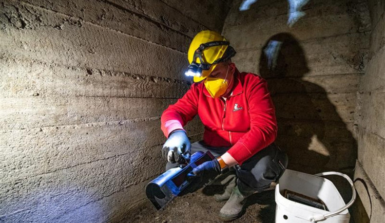 Méně hlodavců v Jihlavě. Město čeká plošná deratizace, aktivně se mohou zapojit i sami občané