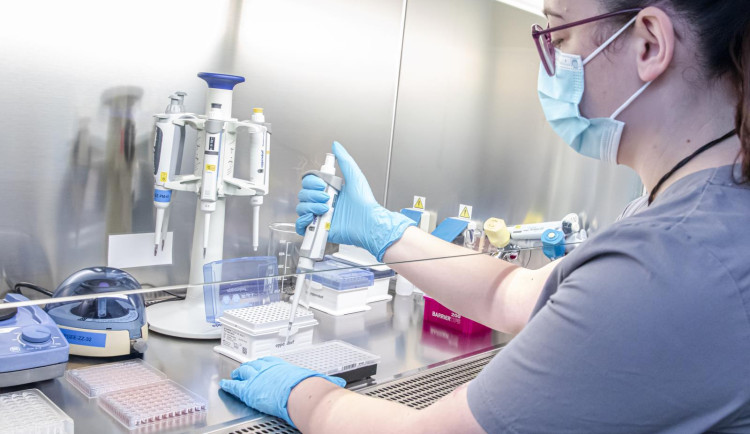 Policie po téměř 12 letech objasnila přepadení mladé ženy. Kriminalistům pomohla analýza DNA